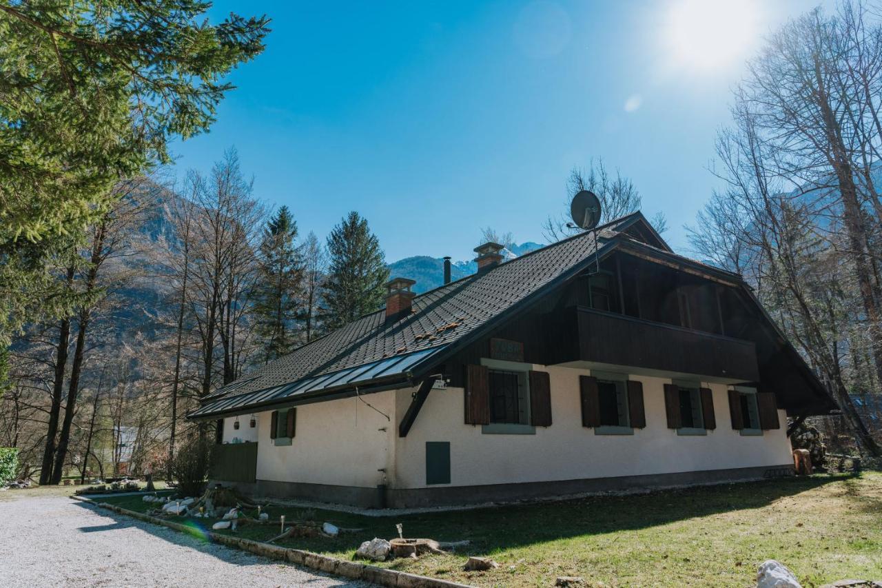Tuba Apartments Bohinj Exterior photo